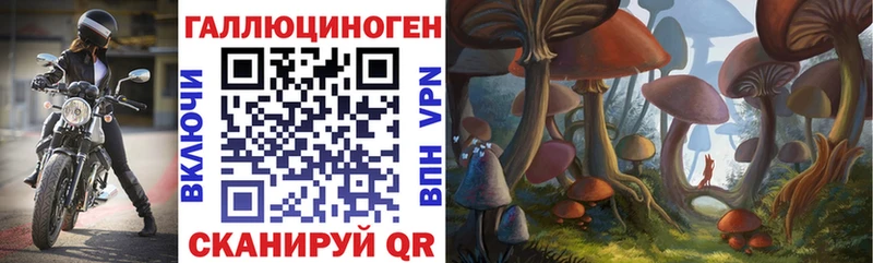 Псилоцибиновые грибы мицелий shop формула Иркутск где купить наркоту
