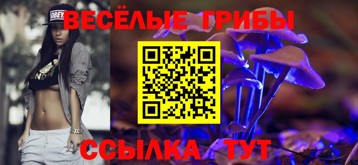 Псилоцибиновые грибы ЛСД Иркутск