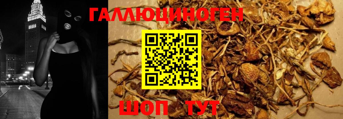 Иркутск  Псилоцибиновые грибы Psilocybe  Псилоцибиновые грибы мухоморы  Вход с VPN 